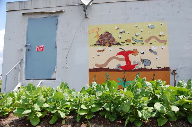 Colorful and instructive murals at the Brooklyn Grange show compost in action. Photo: Dan Corum