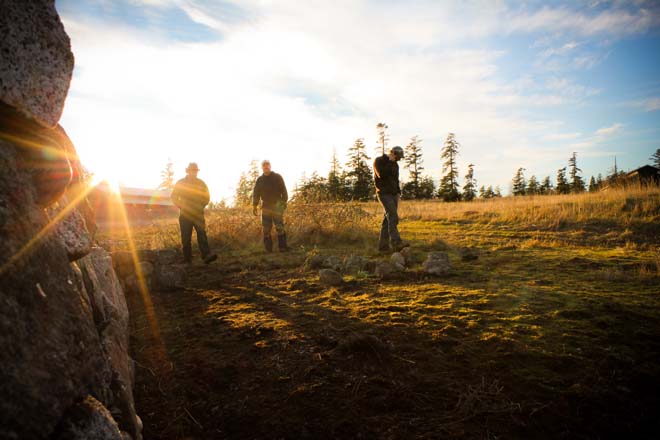 Golden light gilds Hubber's crew at the end of a day's work. Photo: Joan Benny