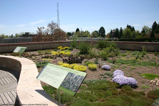 Green roof planting at Denver Botanic Gardens. Photo: Mark Fusco