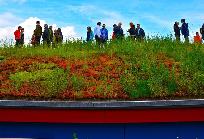 This project for a roofing company in Sins, Switzerland, is integrated with ponds, hydroponics, and solar technology, demonstrating the flexibility and potential synchronicity of such systems. Photo: Jeff Joslin