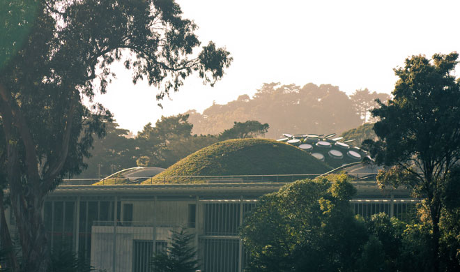 The living roof at  California Academy of Sciences in San Francisco. Photo: Courtesy of DC Bryan and Rana Creek Design