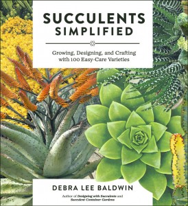 succulents