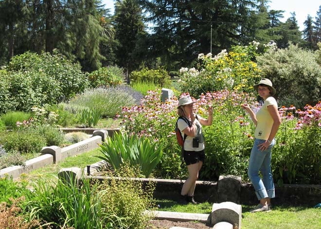 Lab assistants, Jaime Pawelek and Melissa Steele-Ogus, monitoring bees in the Sacramento Historic City Cemetery. Photo: courtesy of the UCB Urban Bee Lab