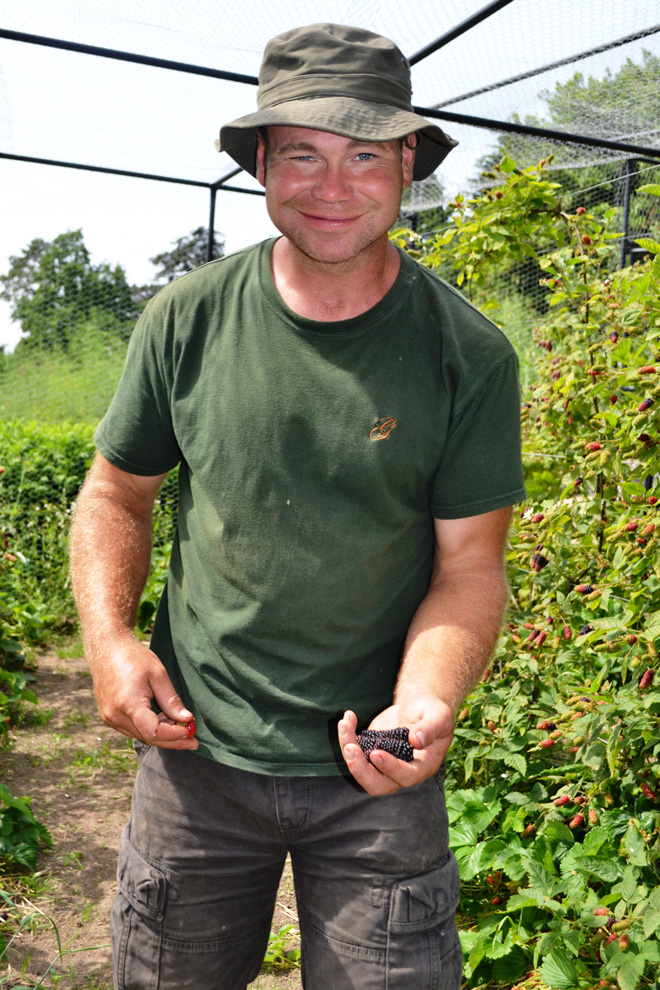 Gravetye Manor head gardener, Tom Coward, offers berries from the walled garden. Photo: Nancy Carol Carter