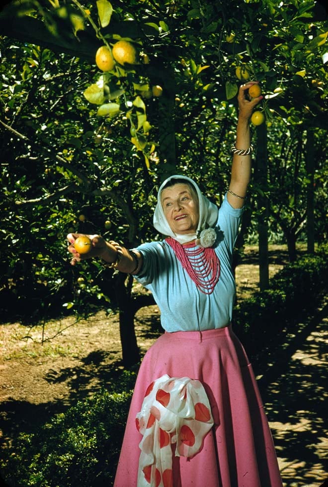 Madame picking lemons. Photo: courtesy Ganna Walska Lotusland