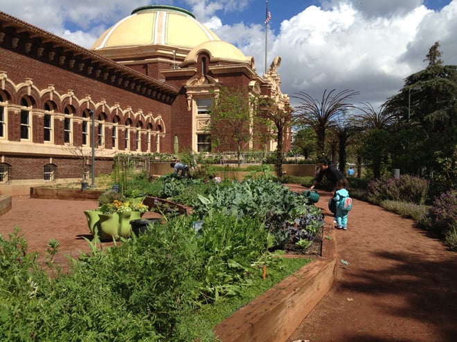 Raised beds filled with vegetables, fruits, and herbs in the  Edible Garden offer delicious inspiration for home growers. Photo: Carol Bornstein