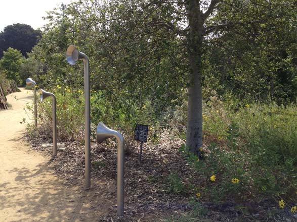 Metal listening stations allow visitors to hear the amplified sounds of the circulatory system of a coast live oak (Quercus agrifolia). Photo: Carol Bornstein