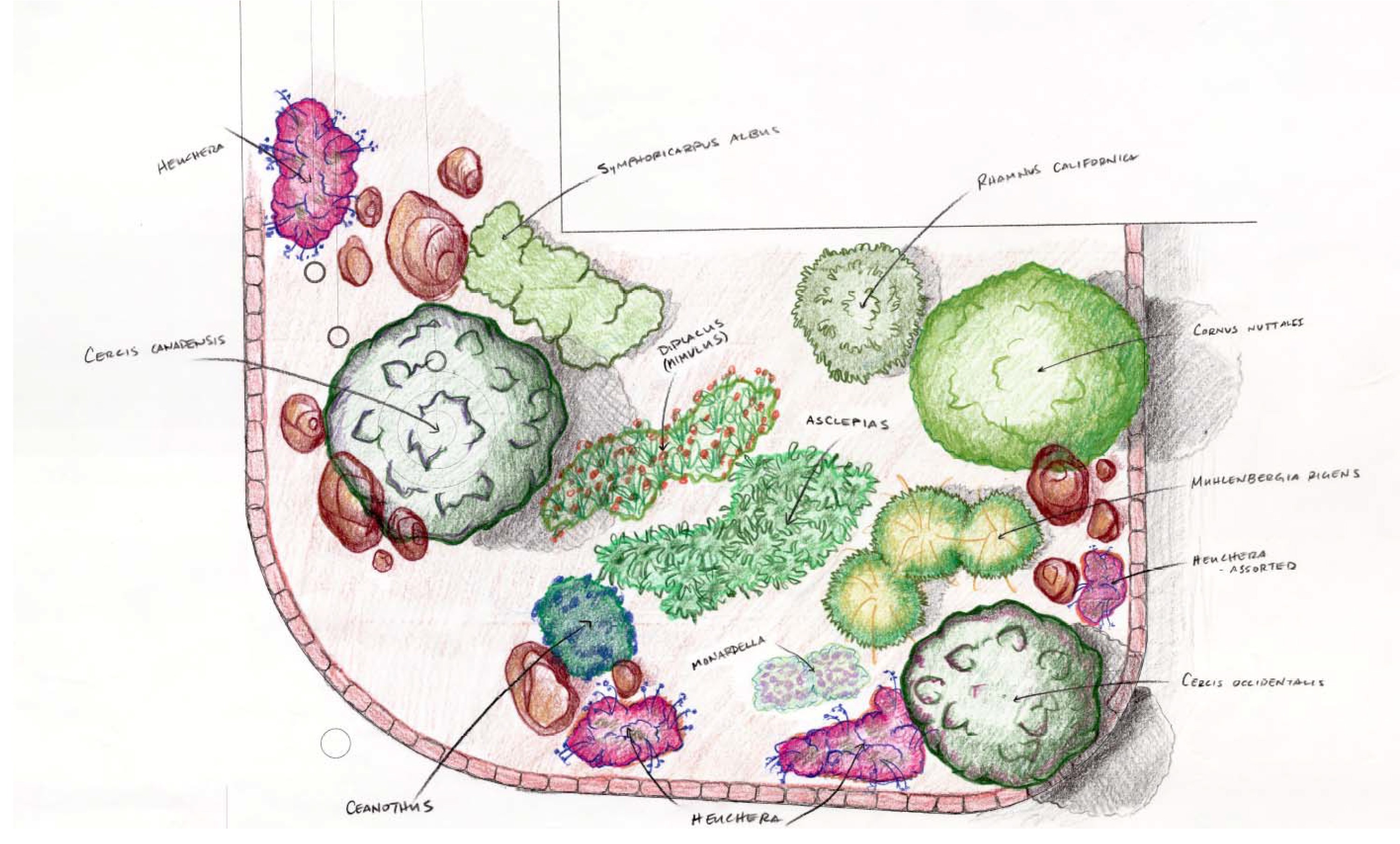 Pollinator Garden Design fall winter interest rain garden plan This Working Drawing Developed With Input From Students A Garden Design Expert And Pollinator Garden Design plant these pollinator magnets This Working Drawing Developed With Input From Students A Garden Design Expert And