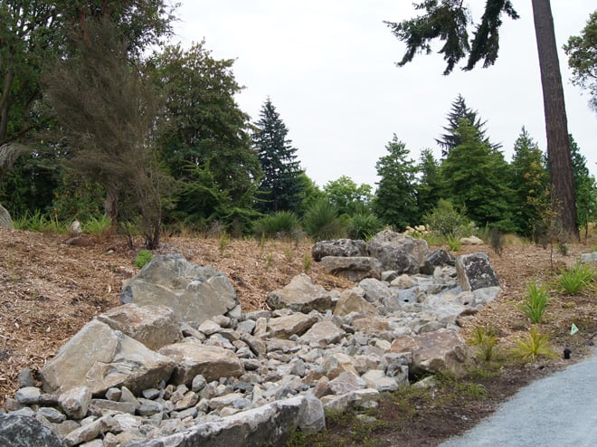 Rock work in the New Zealand Forest was carefully sited to appear as it would in nature.  Photo: courtesy of Berger Partnership