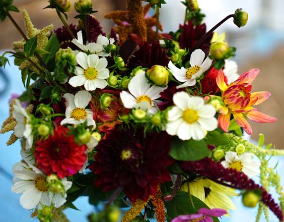 A mixed bouquet ready for market. Photo: Timi Devlin