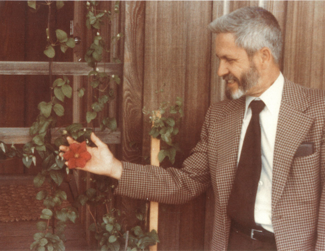 This is the first known picture of Brewster with clematis taken in 1975 in Manhattan, Kansas. The clematis is 'Rouge Cardinal'. Photo: from the Rogerson Clematis Collection Archives.