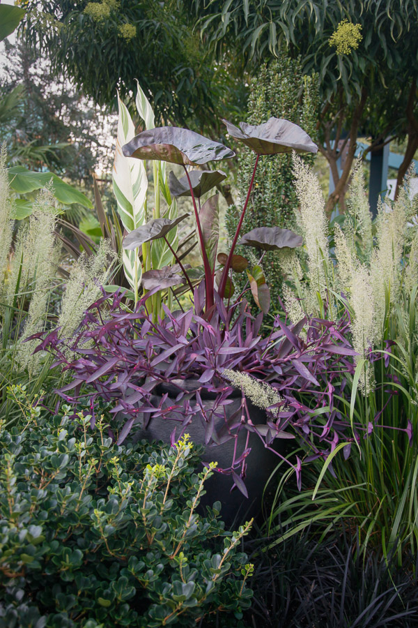 The personal garden of Portland designer Lauren Hall-Behrens. Photo: courtesy of Green on Green Garden Tour
