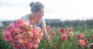 Floret-feature