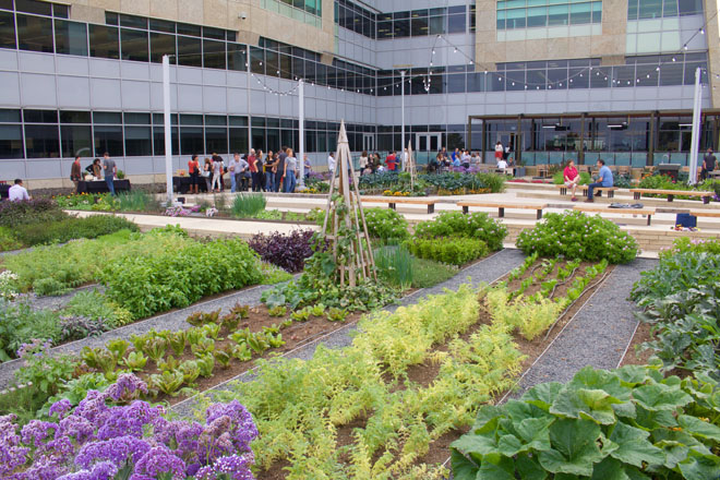 Colorful and productive growing beds surround dining tables, an outdoor sink for cleaning produce, and a bocce court. Photo: courtesy of Bon Appetite Management Company