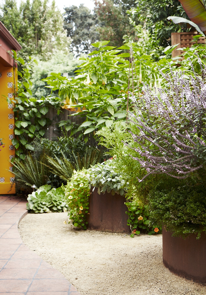 Homestead Design Collective believes gardens should be beautiful and productive. Photo: Homestead Design Collective, David Fenton