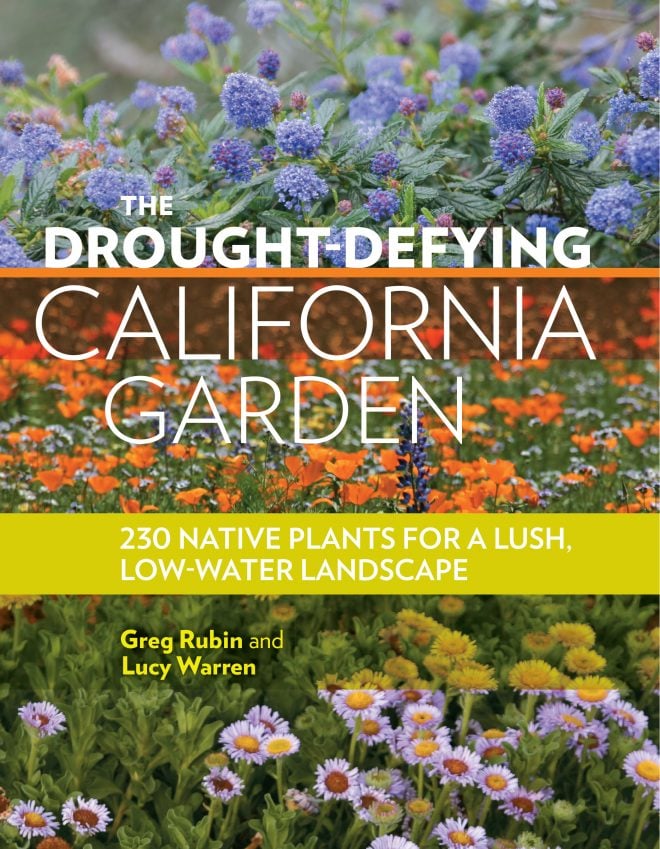 drought defying california garden