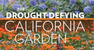 Drought-review-feature