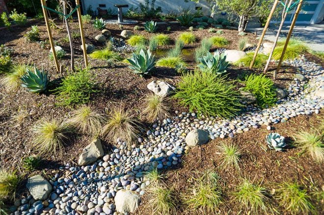 Plants, gravel, rocks, and grading in a newly installed rain garden landscape. Photo: Philip Otto Photography