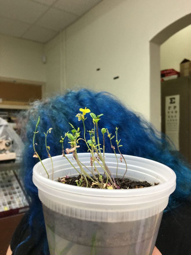 Today’s high school student may be tomorrow’s environmental scientist. Photo: The Street School, Tulsa, Oklahoma