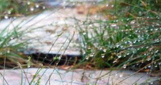 Increasing your garden's permeability reduces runoff and provides area for releasing captured water so it can recharge the soil. Photo: Tom Rau/Urban Water Group