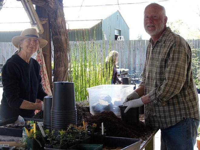 Sherrie Althouse and Phil Van Soelen, co-owners of California Flora Nursery, have been nurturing native plants and informing native plant gardeners for 35 years. Photo: Jennifer Jewell