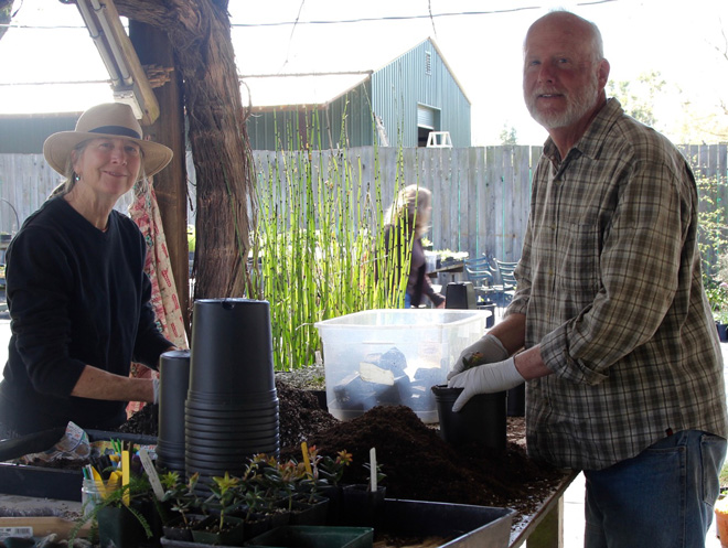 Pacific Horticulture Society The Spirit Of Place California Flora Sherrie Althouse And Phil Van Soelen Co Owners Of California Flora Nursery Have