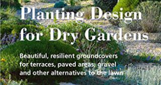 dry-garden-feature