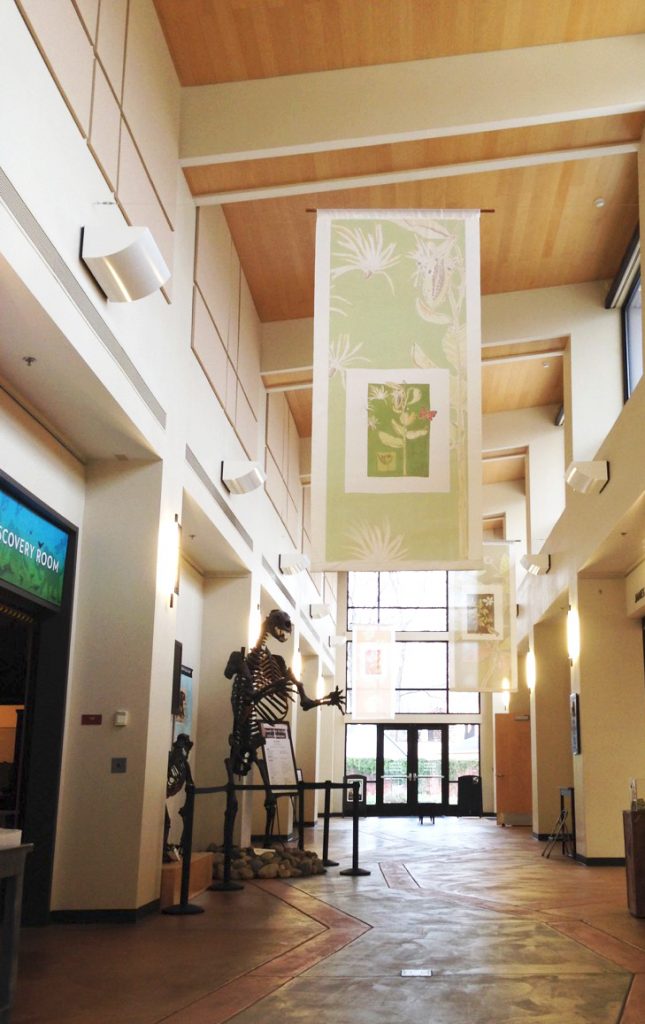 Large silk banners, pictured here at the Gateway Science museum in the spring of 2015, help to bring the art and nature of seed ecology to life. Photo: Jennifer Jewell