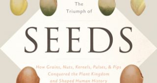 Book-Seed-feature