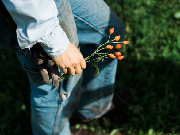 As a working gardener Hallie is keenly attuned to daily changes in the garden and appreciates the intimate view her position affords her. Photo: Ryan Tuttle