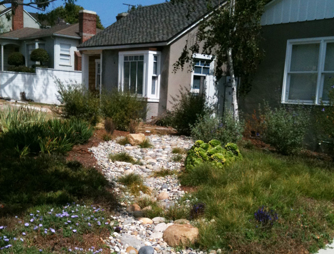 A climate-friendly front yard landscape designed designed by Paula Henson. Photo: Terrabella Water