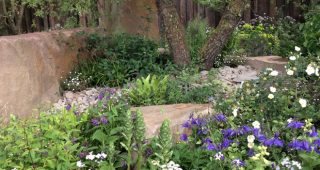 2016 display garden by Cleve West. Photo: Marilee Kuhlmann