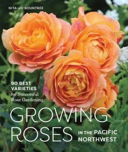 Growing-Roses