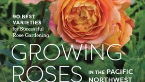 Growing-Roses-feature