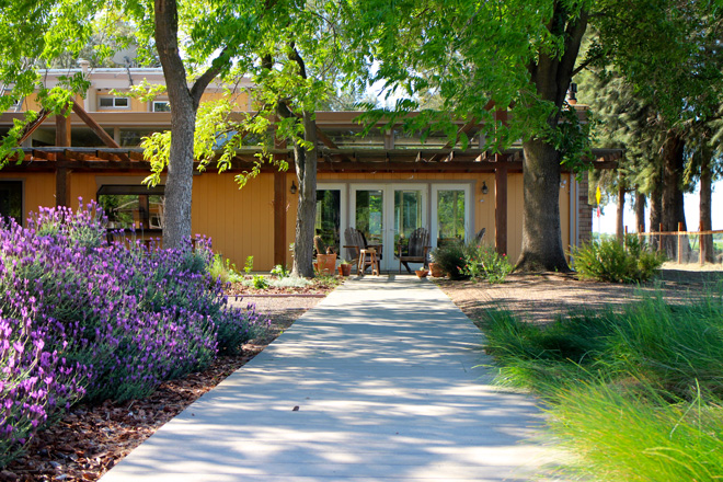 looking back toward the house and the shaded patio prairie junegrass koeleria macrantha on the - California Garden looking back toward the house and the shaded patio prairie junegrass koeleria macrantha on the - California Garden