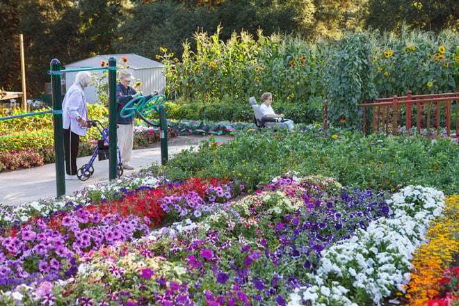 Generous pathways allow residents to stroll or navigate their wheelchair amongst the colorful plantings. Photo: Saxon Holt