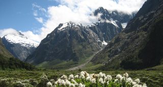 Fiordland National Park, New Zealand. Photo: courtesy of Betchart Expeditions.