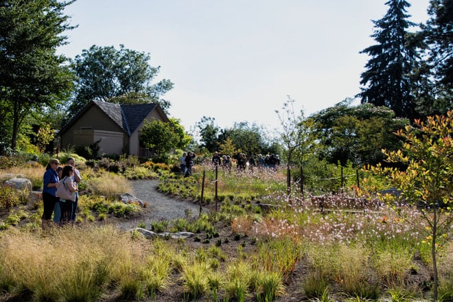 Visitors celebrated the opening of the new Urban Meadow at Bellevue Botanical Garden in July 2017. Photo: Rebecca Randall courtesy of BBG