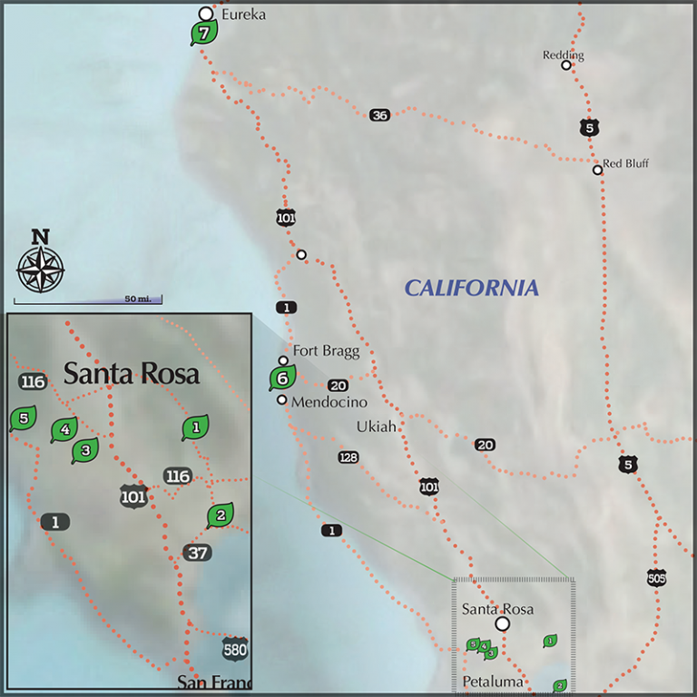 Pacific Horticulture Society | A Horticultural Adventure through the